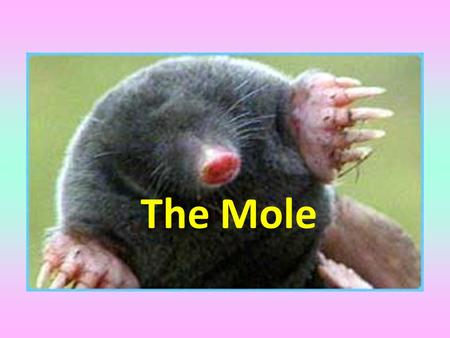 The Mole. Objectives Be able to write conversion factors. Be able to make conversions using dimensional analysis.