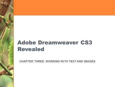 Adobe Dreamweaver CS3 Revealed CHAPTER THREE: WORKING WITH TEXT AND IMAGES.
