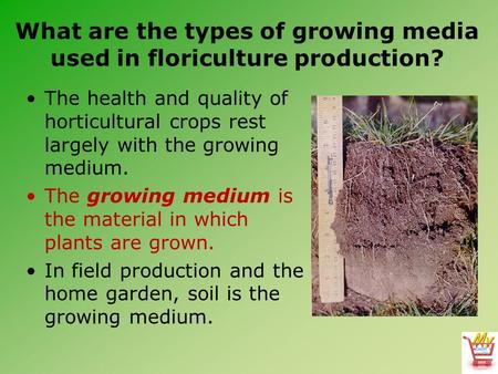 What are the types of growing media used in floriculture production? The health and quality of horticultural crops rest largely with the growing medium.