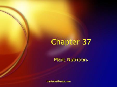 Travismulthaupt.com Chapter 37 Plant Nutrition.. travismulthaupt.com Plant Growth-Around 350 B.C. FFor centuries, people have postulated about plant growth.