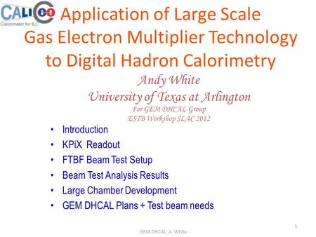 Andy White University of Texas at Arlington For GEM DHCAL Group ESTB Workshop SLAC 2012 Introduction KPiX Readout FTBF Beam Test Setup Beam Test Analysis.