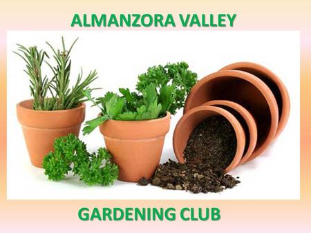 ALMANZORA VALLEY GARDENING CLUB. A POTTED HISTORY Natural remedies from your garden for medicinal and beauty purposes.