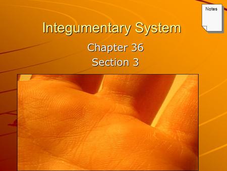 Integumentary System Chapter 36 Section 3 Notes. Keys Lecture Outline – Integumentary System PowerPoint Notes textbook questions.