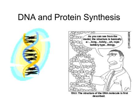 DNA and Protein Synthesis. Nucleic Acids Nucleic Acids - Function Control the processes of heredity by which cells and organisms make proteins.
