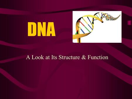 DNA A Look at Its Structure & Function. DNA Is often called a “double helix” –Twisted ladder.