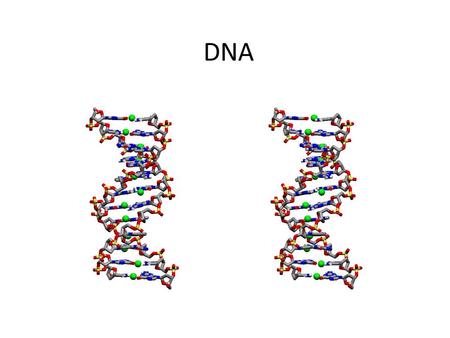 DNA. DNA History Hershey-Chase – Concluded that the genetic material in bacteria was DNA not proteins Watson & Crick – created the double helix model.