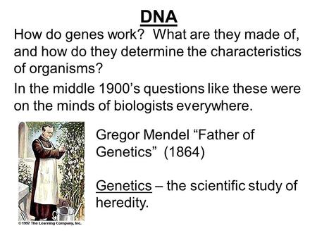 DNA How do genes work? What are they made of, and how do they determine the characteristics of organisms? In the middle 1900’s questions like these were.