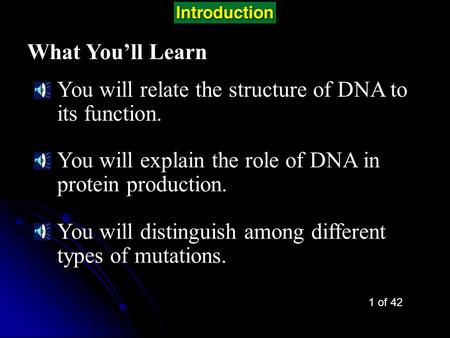 Chapter Intro-page 280 What You’ll Learn You will relate the structure of DNA to its function. You will explain the role of DNA in protein production.