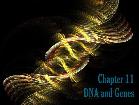 What you’ll learn How to relate the structure of DNA to its function How to explain the role of DNA in protein production. How to distinguish among different.