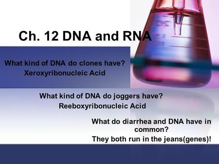 Ch. 12 DNA and RNA What kind of DNA do clones have? Xeroxyribonucleic Acid What kind of DNA do joggers have? Reeboxyribonucleic Acid What do diarrhea and.