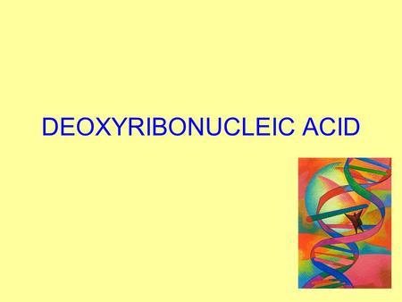 DEOXYRIBONUCLEIC ACID. DNA DNA—deoxyribonucleic acid A.Controls the production of proteins in a cell. B.Every new cell that is developed needs an exact.