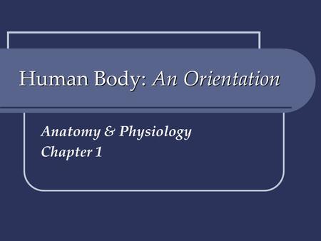 Human Body: An Orientation Anatomy & Physiology Chapter 1.