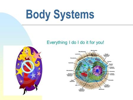 Body Systems Everything I do I do it for you!. Cells-Tissues-Organs-Body Systems C. Groups of cells which perform similar functions form tissues. D. Tissues.