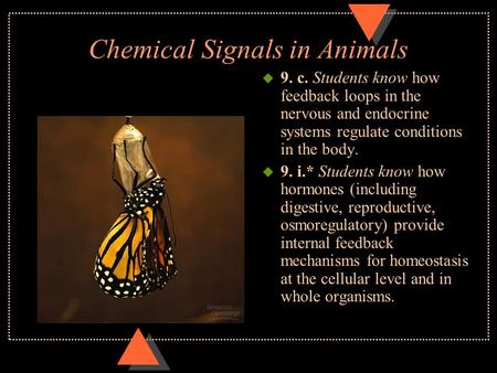 Chemical Signals in Animals u 9. c. Students know how feedback loops in the nervous and endocrine systems regulate conditions in the body. u 9. i.* Students.