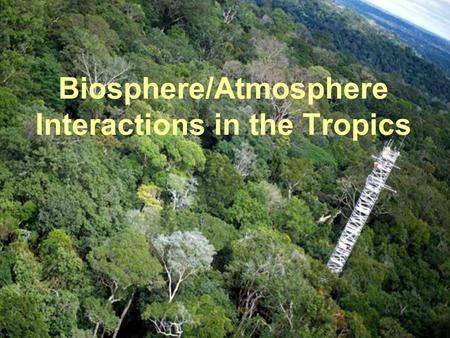 Biosphere/Atmosphere Interactions in the Tropics.