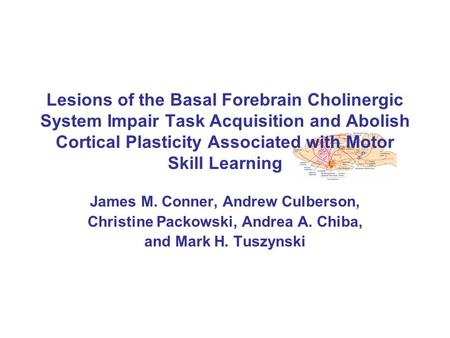 Lesions of the Basal Forebrain Cholinergic System Impair Task Acquisition and Abolish Cortical Plasticity Associated with Motor Skill Learning James M.