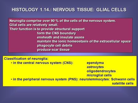 HISTOLOGY 1.14.: NERVOUS TISSUE: GLIAL CELLS