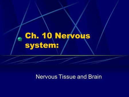 Nervous Tissue and Brain