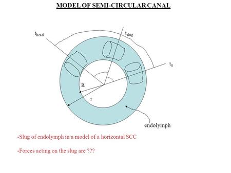 MODEL OF SEMI-CIRCULAR CANAL t0t0 t slug t head R r endolymph -Slug of endolymph in a model of a horizontal SCC -Forces acting on the slug are ???