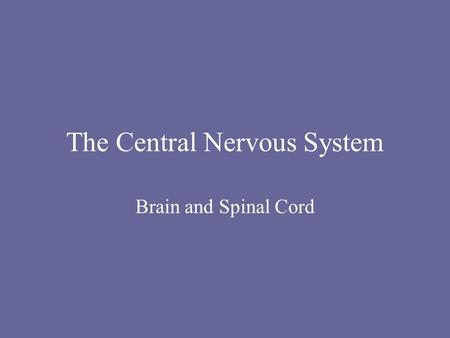 The Central Nervous System Brain and Spinal Cord.