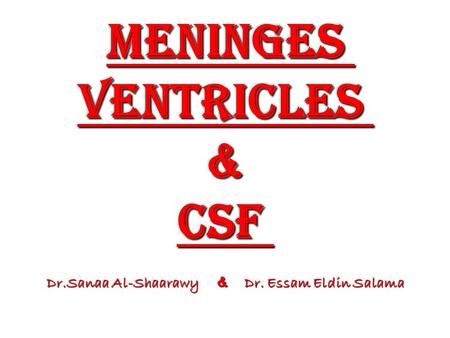 Meninges ventricles & CSF
