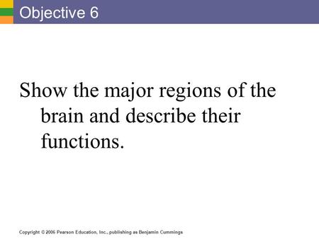 Show the major regions of the brain and describe their functions.