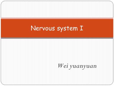 Wei yuanyuan Nervous system I. Nervous system Organization : over 100 billion neuron Central nervous system Brain + spinal cord Peripheral nervous system.