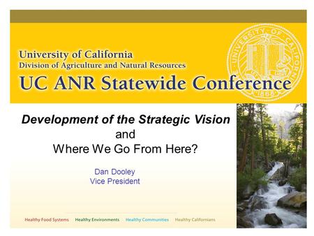 Development of the Strategic Vision and Where We Go From Here? Dan Dooley Vice President.