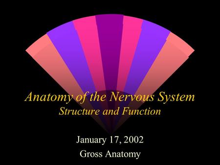 Anatomy of the Nervous System Structure and Function January 17, 2002 Gross Anatomy.
