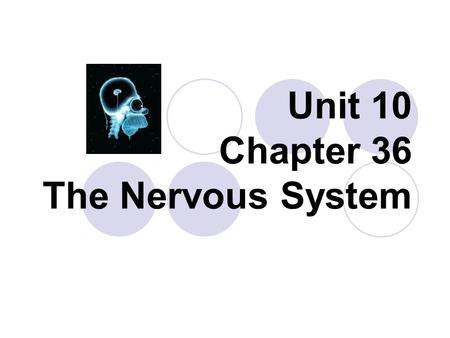 Unit 10 Chapter 36 The Nervous System