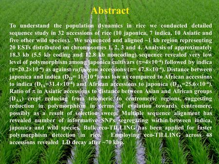 Abstract To understand the population dynamics in rice we conducted detailed sequence study in 32 accessions of rice (10 japonica, 7 indica, 10 Asiatic.