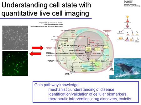 Understanding cell state with quantitative live cell imaging Copyright © 2000 Cell Press. The Hallmarks of Cancer Douglas Hanahan and Robert A. Weinberg.