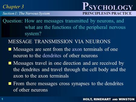 HOLT, RINEHART AND WINSTON P SYCHOLOGY PRINCIPLES IN PRACTICE 1 Chapter 3 Question: How are messages transmitted by neurons, and what are the functions.