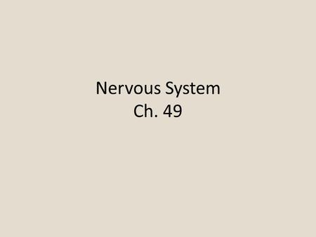 Nervous System Ch. 49. Nervous System -Found in every part of the body from the head to the tips of the fingers and toes. -Divided into central nervous.