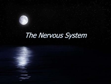 The Nervous System. Introduction FTwo organ systems, the nervous and endocrine systems, coordinate organ system activity. FThe nervous system provides.