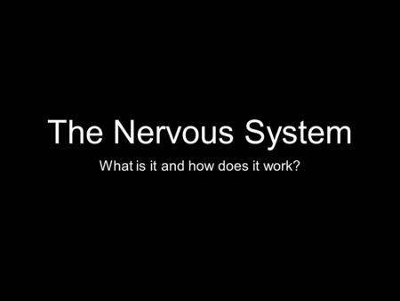 The Nervous System What is it and how does it work?
