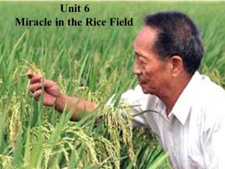 Unit 6 Miracle in the Rice Field. 1.A little boy’s special and mature dream 2. A man’s ambitious but realistic dream 3. An organization’s plan to spread.
