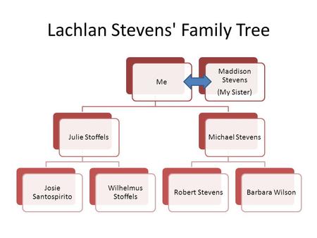 Lachlan Stevens' Family Tree MeJulie Stoffels Josie Santospirito Wilhelmus Stoffels Michael StevensRobert StevensBarbara Wilson Maddison Stevens (My Sister)