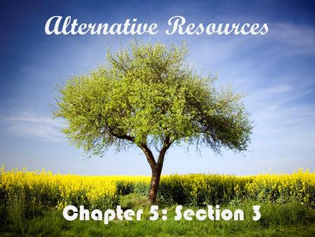 Alternative Resources Chapter 5: Section 3 Target Material: Alternative Energy Resources NuclearSolarWindHydroelectric Biological Matter GeothermalVocabulary.