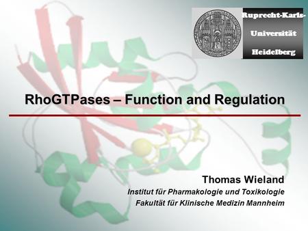 RhoGTPases – Function and Regulation Thomas Wieland Institut für Pharmakologie und Toxikologie Fakultät für Klinische Medizin Mannheim Ruprecht-Karls-