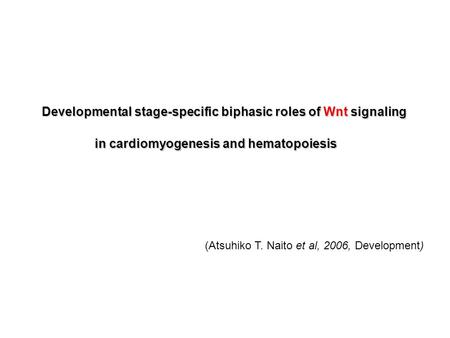 Developmental stage-specific biphasic roles of Wnt signaling in cardiomyogenesis and hematopoiesis (Atsuhiko T. Naito et al, 2006, Development)