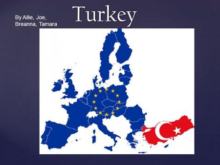 Turkey By Allie, Joe, Breanna, Tamara. Population  Population: 79, 749, 461 as of July 2011  Ethnic Groups: The Turkish (71%), Kurdish people (17%),