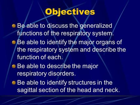 Objectives Be able to discuss the generalized functions of the respiratory system. Be able to identify the major organs of the respiratory system and describe.