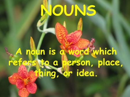 A noun is a word which refers to a person, place, thing, or idea.