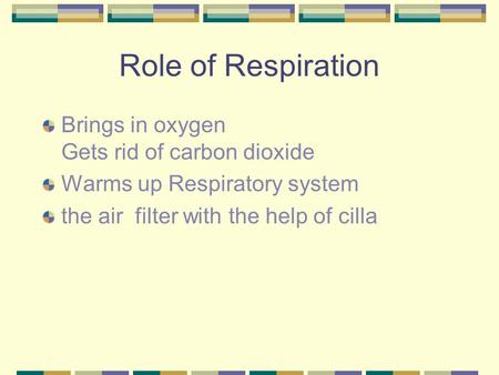 Role of Respiration Brings in oxygen Gets rid of carbon dioxide Warms up Respiratory system the air filter with the help of cilla.