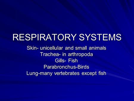 RESPIRATORY SYSTEMS Skin- unicellular and small animals Trachea- in arthropoda Gills- Fish Parabronchus-Birds Lung-many vertebrates except fish.