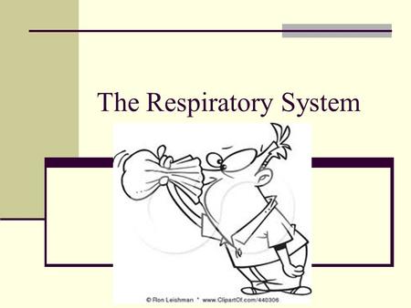 The Respiratory System. What this difference between breathing and respiration.