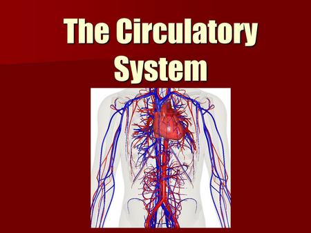 The Circulatory System. Primary Function The function of the circulatory system is to transport nutrients and oxygen (O 2 ) to cells around the body and.