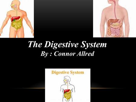 The Digestive System By : Connor Allred. F UNCTION OF THE D IGESTIVE S YSTEM There are six functions of the digestive system which are ingestion of food,