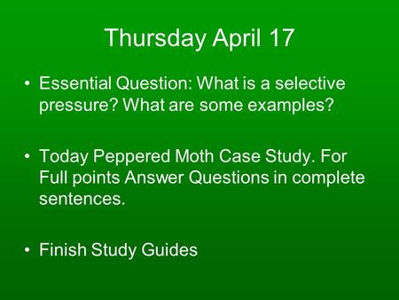 Thursday April 17 Essential Question: What is a selective pressure? What are some examples? Today Peppered Moth Case Study. For Full points Answer Questions.